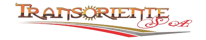 TRANSORIENTE_LOGO-removebg-preview